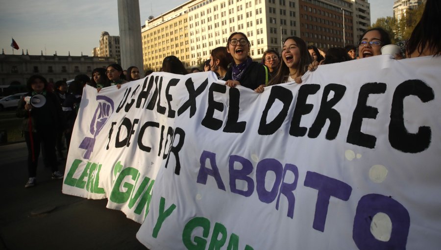 Ministro de Justicia y proyecto de aborto legal: “Busca terminar con la persecución penal”