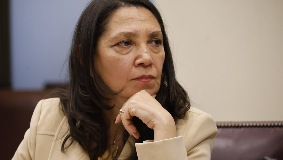 Ministra de la Segpres reconoce que "es muy difícil" que el proyecto de aborto "vaya a ver la luz en este gobierno"