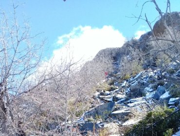 Conaf cierra por tres meses el acceso a la cumbre del Parque Nacional La Campana en Olmué