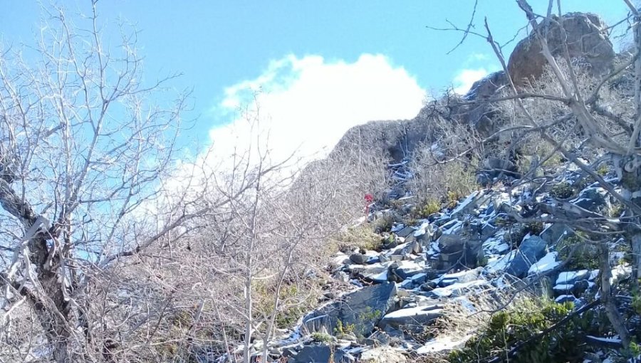 Conaf cierra por tres meses el acceso a la cumbre del Parque Nacional La Campana en Olmué