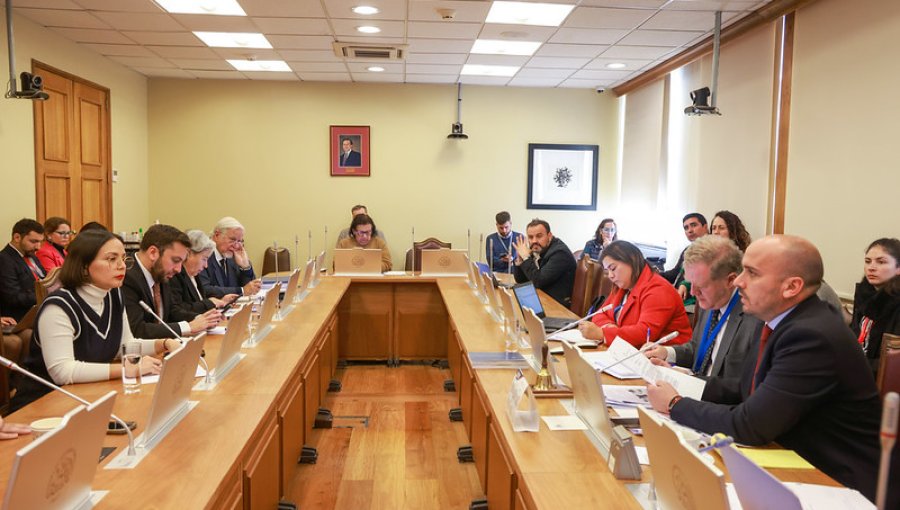 Ministra Arredondo afirma en comisión por casa de Allende que no recibió "alerta sobre negociación incompatible"
