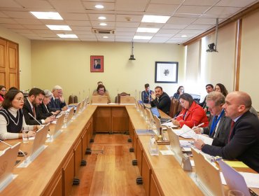 Ministra Arredondo afirma en comisión por casa de Allende que no recibió "alerta sobre negociación incompatible"