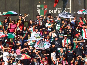 Universidad de Chile y Palestino tienen posible rival en caso de ganar playoffs en Copa Sudamericana