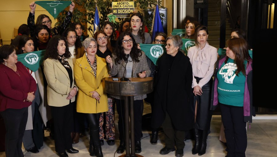 Proyecto de aborto legal ingresa a la Cámara sin urgencia: pasará por comisiones de Constitución, Hacienda y Salud