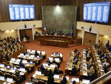 Cámara de Diputados aprueba informe de comisión investigadora por el caso ProCultura: denuncia "modus operandi"