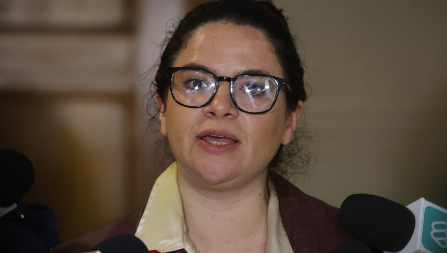 Diputados UDI emplazan a ministra Orellana por crítica contra Matthei: "Guachita, no se meta en peleas de grandes"