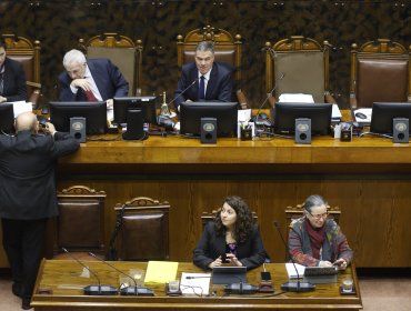 Senado aprueba nuevo sistema de adopción sin dar prioridad a parejas heterosexuales: "Lo único importante es la idoneidad"