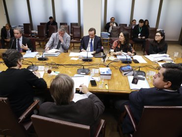 Comisión del Senado aprobó proyecto de "limpieza constitucional"