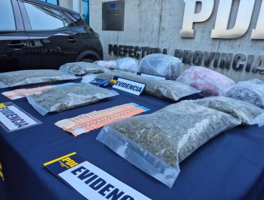 Desarticulan organización criminal que comercializaba droga entre universitarios de Valparaíso