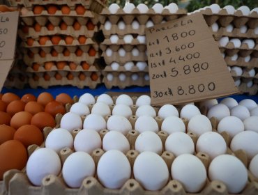 Inflación sigue moderada y marca un 0,2% en mayo: Huevos se encuentran entre las principales alzas