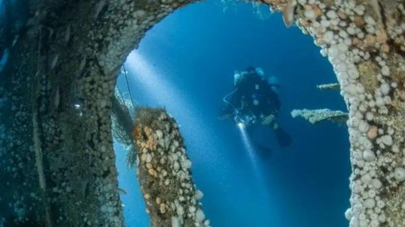 Resuelven el misterio de un naufragio de hace 140 años frente a las costas de Plymouth en Inglaterra