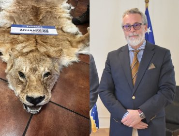 Fiscalía de San Antonio formalizará el próximo 3 de julio a ex embajador Camilo Sanhueza por contrabando de pieles