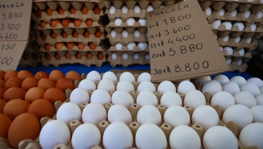 Inflación sigue moderada y marca un 0,2% en mayo: Huevos se encuentran entre las principales alzas
