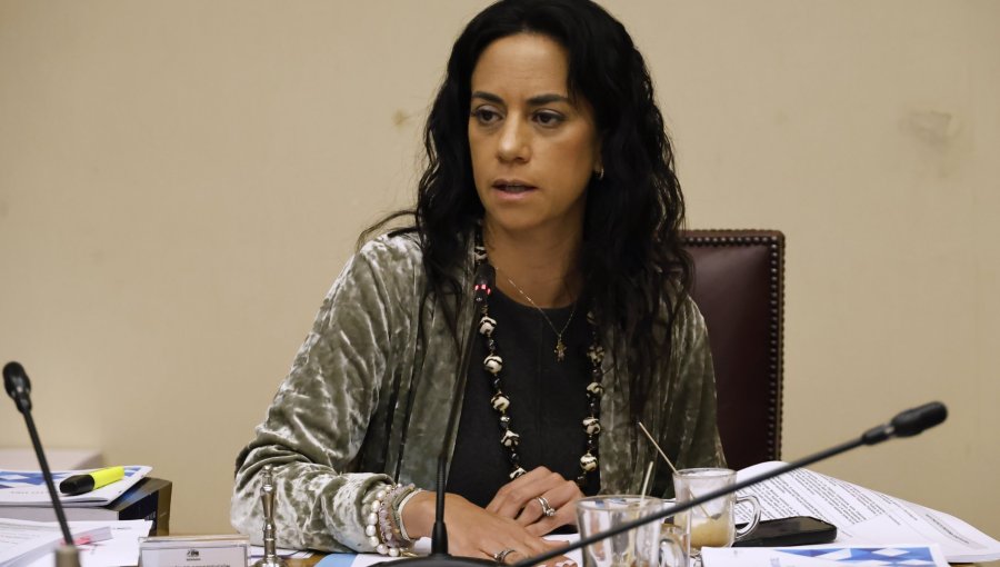 Núñez valora respaldo de Amarillos a Matthei y espera que "otras fuerzas políticas se vayan sumando a la candidatura"