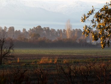 Agricultores plantearon sus inquietudes al Servicio de Impuestos Internos por próximo reavalúo de predios