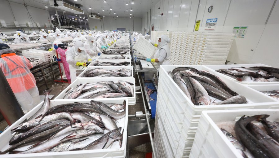 Subsecretario de Pesca y ley de fraccionamiento: "Ha sido un proceso transparente"