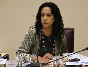 Núñez valora respaldo de Amarillos a Matthei y espera que "otras fuerzas políticas se vayan sumando a la candidatura"