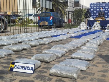 Capturan a cuatro colombianos que desde Alto Hospicio transportaban marihuana en cajas de frutas a la región Metropolitana