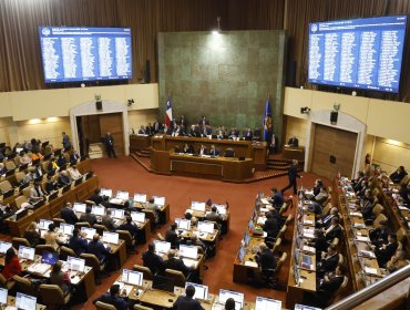 Senado aprueba moción que establece multas para quienes no concurran a votar: Gobierno anunció reserva de constitucionalidad