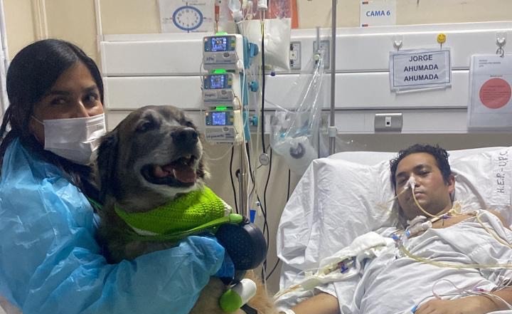 “Volvió a sonreír”: Paciente en UCI recibió visita de su perro gracias a plan de humanización del Hospital Pereira de Valparaíso