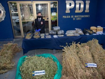 Desarticulan banda delictual que incluía a funcionarios de Salud que sustraían droga desde incinerador de hospital de Chillán