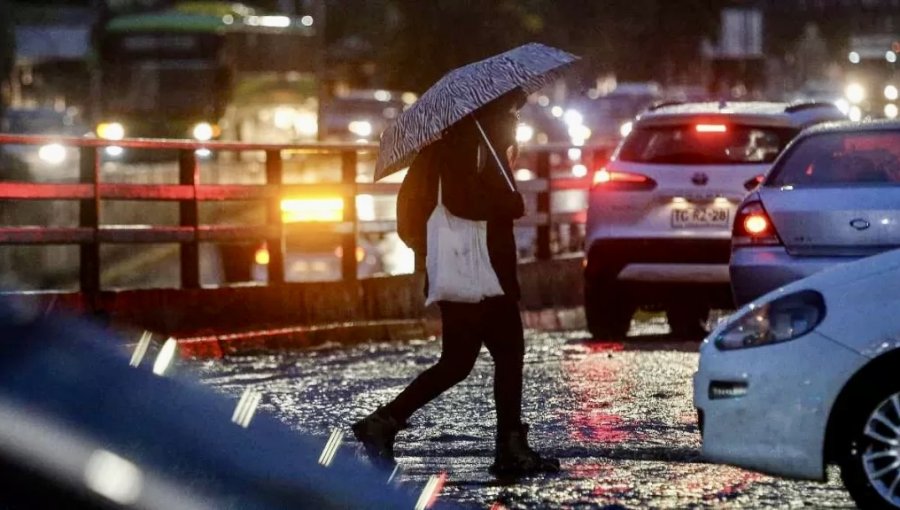 Lluvias y fuertes vientos dejaron nueve árboles caídos en el camino costero de Concón
