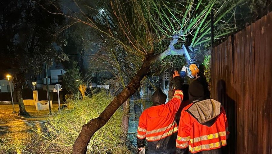 Temporal en Quilpué: Reportan 82 llamados de emergencia y cuatro personas en albergue