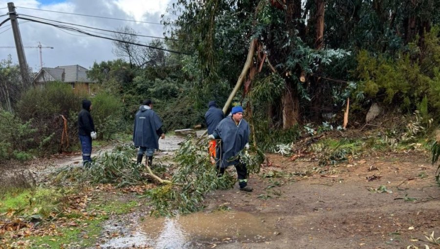 Caídas da ramas, filtraciones en viviendas y desprendimientos de fachadas marcan paso del sistema frontal por Valparaíso