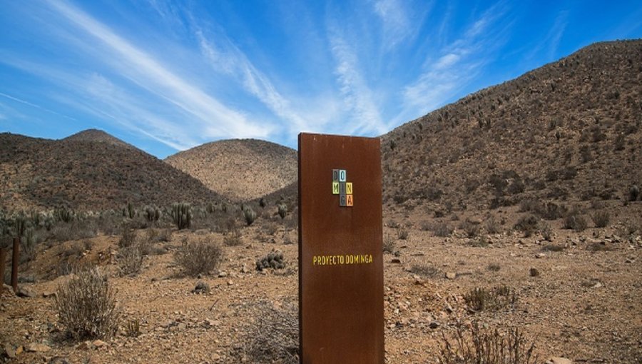 Andes Iron tras fallo del TC a favor de Dominga acusa al Gobierno de "persistir en el desacato"