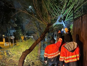 Temporal en Quilpué: Reportan 82 llamados de emergencia y cuatro personas en albergue