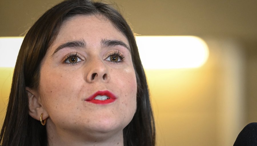 Diputada Barchiesi presenta proyecto para tipificar el abandono como violencia intrafamiliar