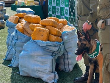 Prisión preventiva para cuatro bolivianos detenidos con 1.300 kilos de droga en sector fronterizo de la Región de Antofagasta
