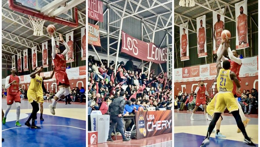 Los Leones rugieron en Quilpué y descontaron en la final del básquetbol ante U. de Conce