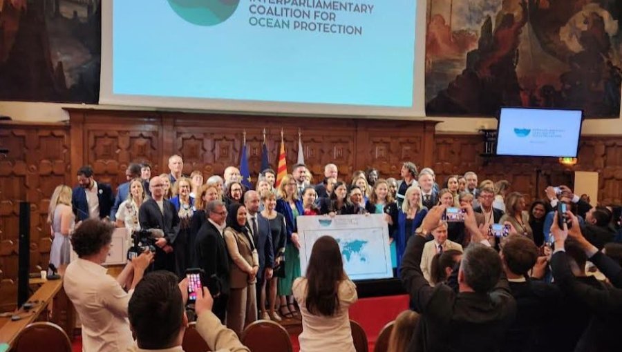 Recién el 2027 se sabrá si Valparaíso será o sede del tratado de protección de la biodiversidad de altamar