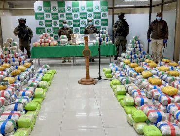 Fuerte golpe al narcotráfico en la V Región: Interceptan 838 kilos de marihuana durante operativo en la ruta 5 Norte de La Ligua