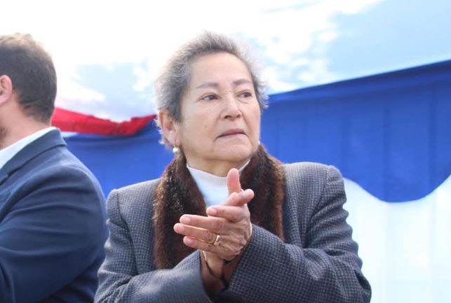 Concejala de Villa Alegre, María Ignacia González, se encuentra desaparecida tras entregar ayuda a damnificados por sistema frontal