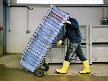 «Más vale prevenir, que tiritar»: Lanzan campaña para proteger a trabajadores expuestos a bajas temperaturas en la Quinta Región