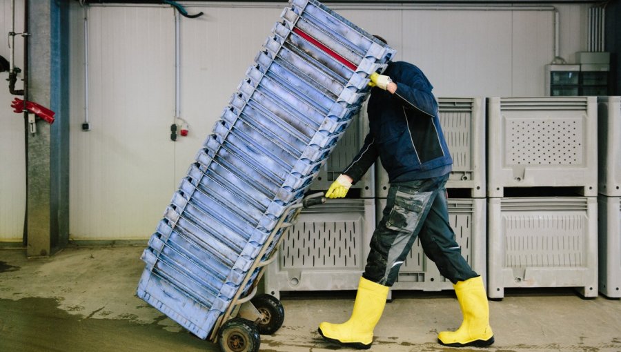 «Más vale prevenir, que tiritar»: Lanzan campaña para proteger a trabajadores expuestos a bajas temperaturas en la Quinta Región