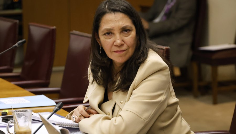 Ministra Lobos espera que tensiones en el oficialismo por primarias no afecten al trabajo en el Congreso