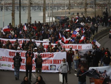 Aprobación de la Ley de Fraccionamiento desata la molestia de pescadores artesanales: "Pasamos de la ley Longueira a la ley Grau"