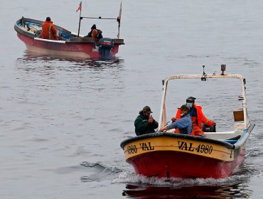 Cámara aprueba proyecto que fija nuevo fraccionamiento entre el sector pesquero artesanal e industrial: pasa al Senado