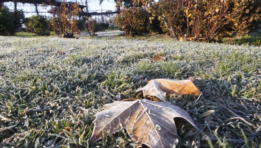Región de Valparaíso tuvo este miércoles la mañana más fría del año: Temperatura en Rinconada llegó a -1,3ºC y en San Felipe a -1,2º