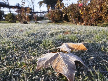 Región de Valparaíso tuvo este miércoles la mañana más fría del año: Temperatura en Rinconada llegó a -1,3ºC y en San Felipe a -1,2º