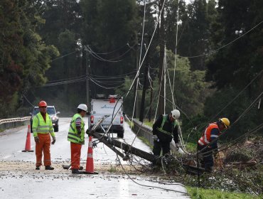 SEC formuló cargos a eléctricas de Biobío y La Araucanía por clientes que estuvieron más de 60 horas sin luz