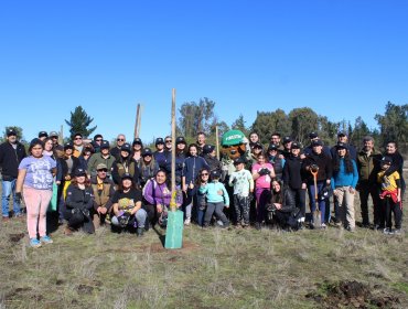 Plantan 198 árboles nativos en zona de la Reserva Lago Peñuelas de Valparaíso donde comenzó el megaincendio del 2024