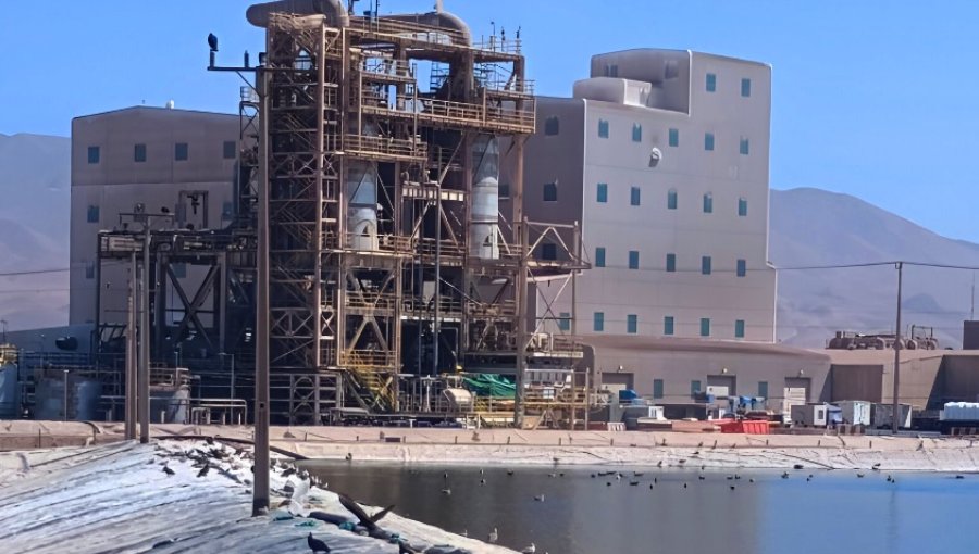 SQM anuncia despidos masivos en sus dos líneas de negocios que afectarían al 5% del personal