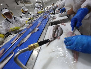 Senadores de oposición acuden al TC a pedir inconstitucionalidad de artículo sobre financiamiento de la ley de cuotas de pesca