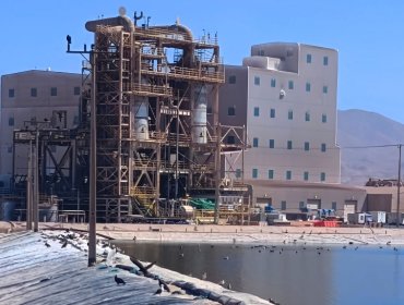SQM anuncia despidos masivos en sus dos líneas de negocios que afectarían al 5% del personal