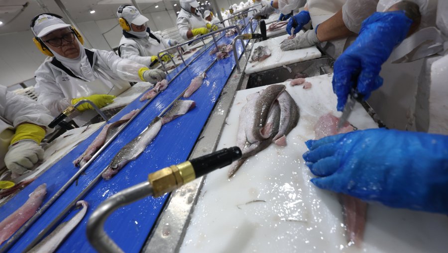 Senadores de oposición acuden al TC a pedir inconstitucionalidad de artículo sobre financiamiento de la ley de cuotas de pesca