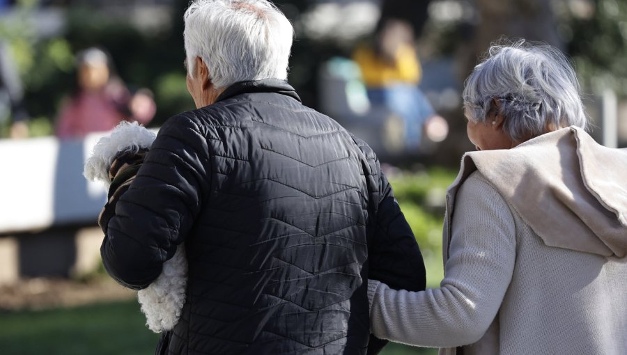 Diputada Musante pide urgencia al Gobierno por proyecto que impide remates de casas de adultos mayores que deben contribuciones